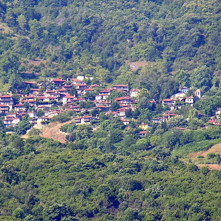 Ktima Garas Paralia Panteleimonos